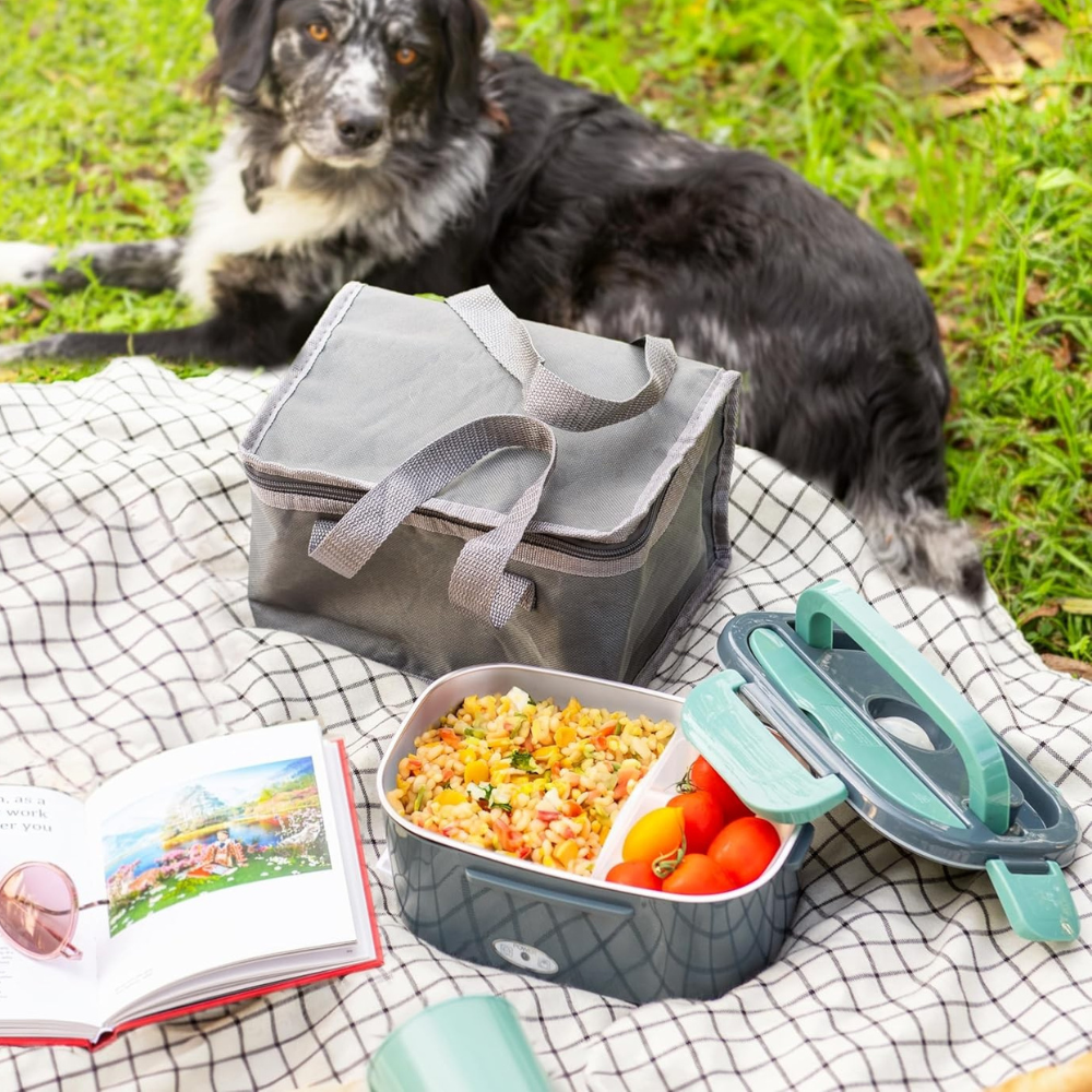 Portable Electric Lunch Box