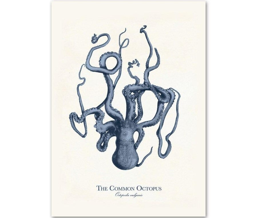 Sea Life Canvas Paintings (9 Pack)